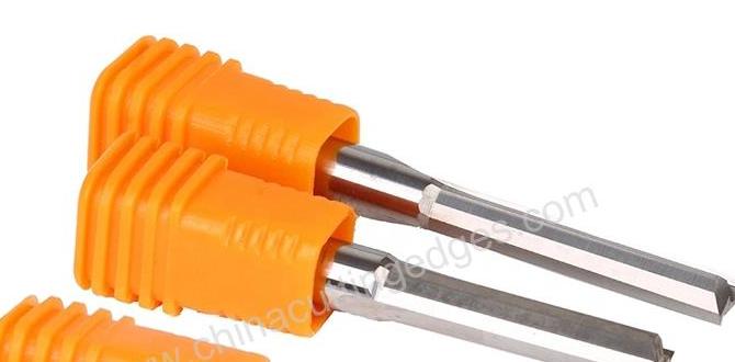 milling cutter for slot and groove cutting milling cutter for slot and groove cutting
